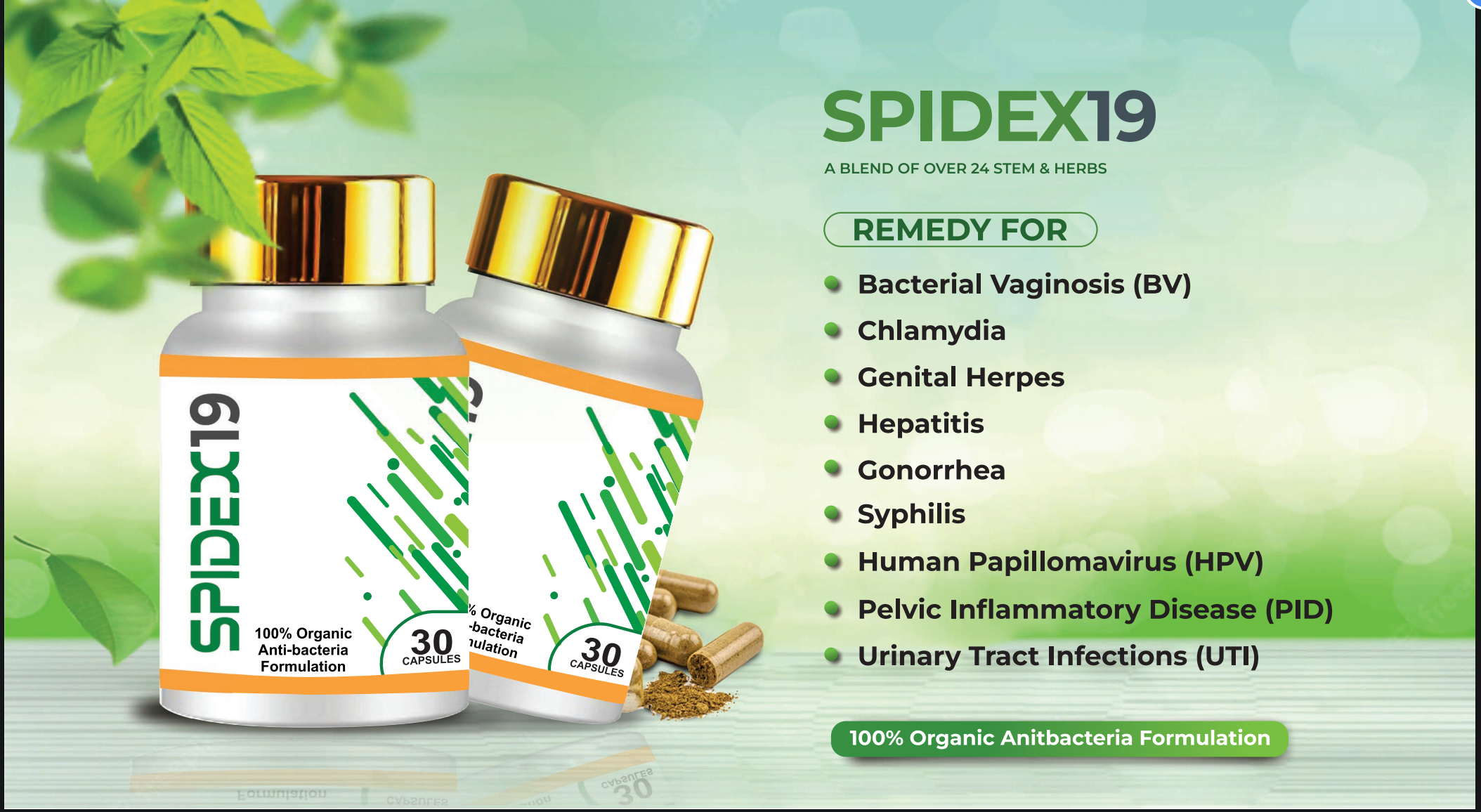 SPIDEX 19 Anti-bacteria